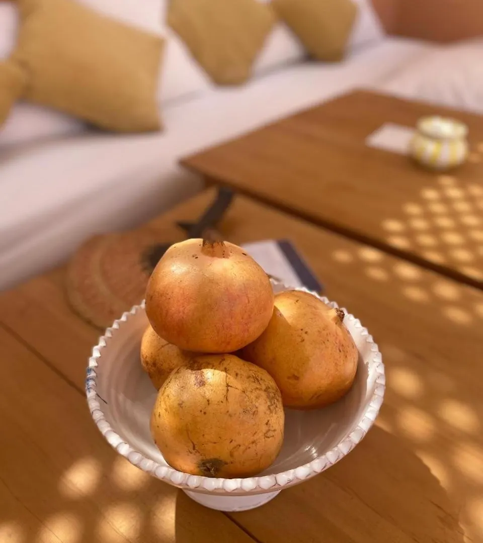 Dar El Qadi Hotel Marrakesh Morocco
