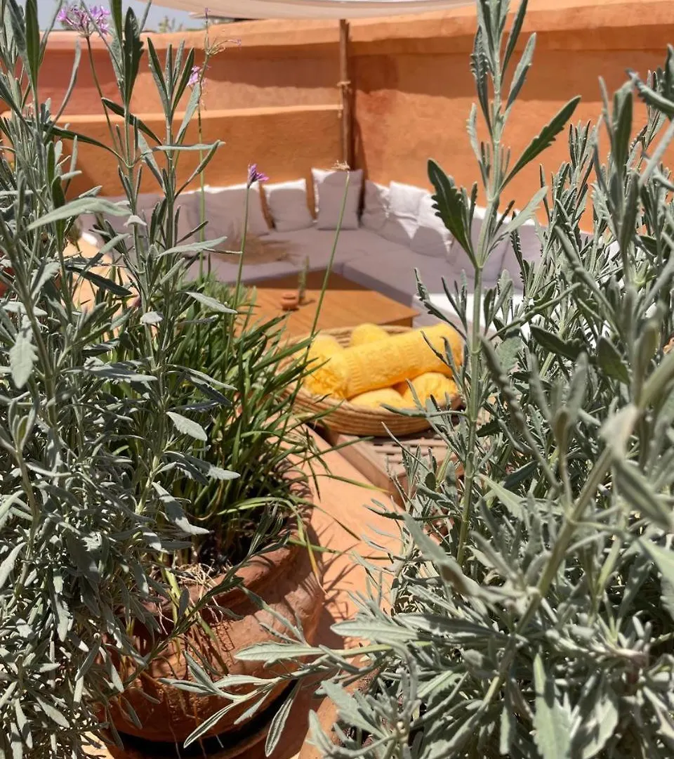 Dar El Qadi Hotel Marrakesh